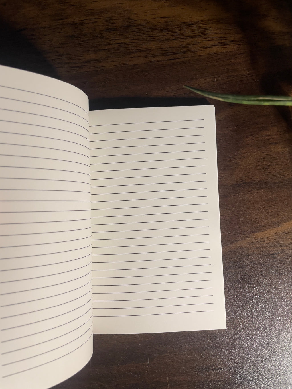 Custom A5 Notebook & Sketchbook | Personalised Cover
