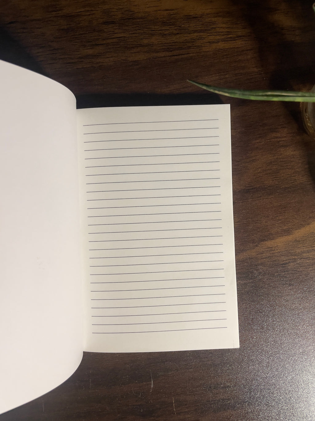 Custom A5 Notebook & Sketchbook | Personalised Cover